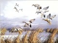 birds flying on lake